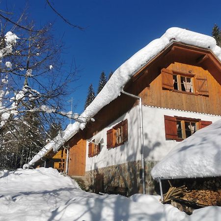 Pohorje House 2 Four Appartmetns Oplotnica Esterno foto